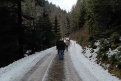 ac232f63-ae5b-4d62-9529-d2eabece0c20